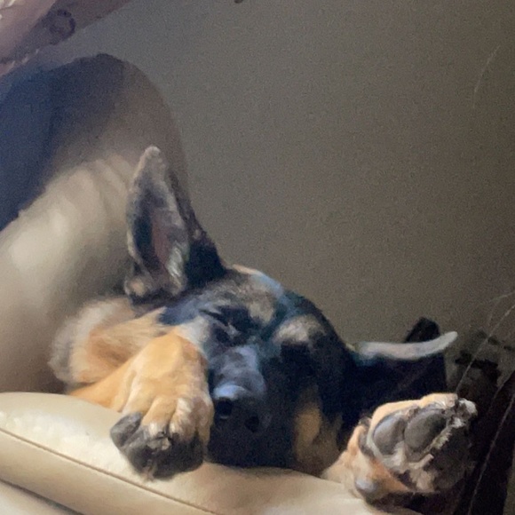 Meet your Posher, Sai ishitha - Picture 1 of 1